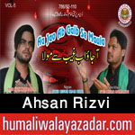 http://www.humaliwalayazadar.com/2016/09/ahsan-rizvi-nohay-2017.html