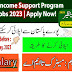 BISP Jobs 2023 - Benazir Income Support Program | Apply Now! 