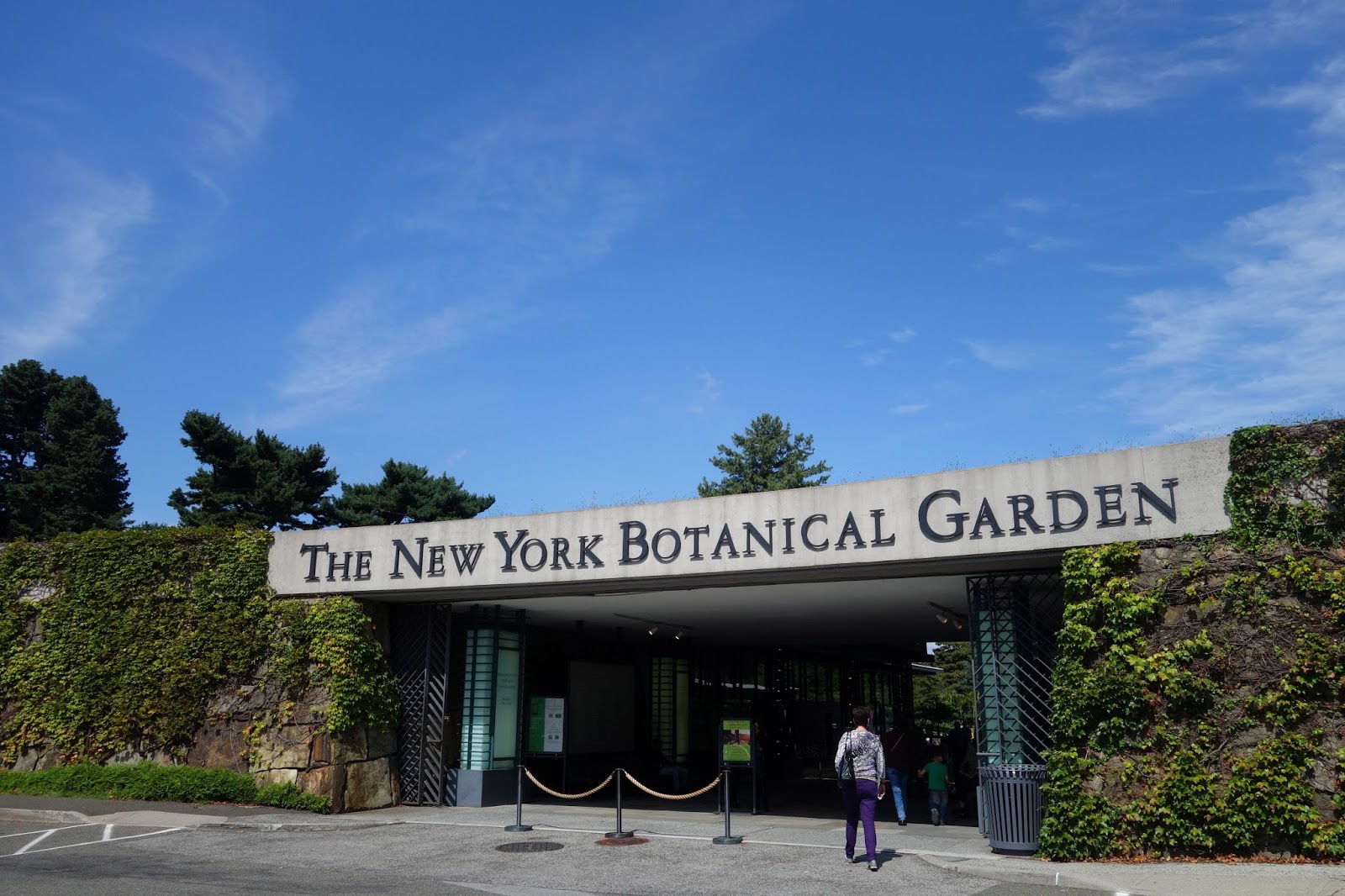 Explore: New York Botanical Garden | Pop.Bop.Shop.