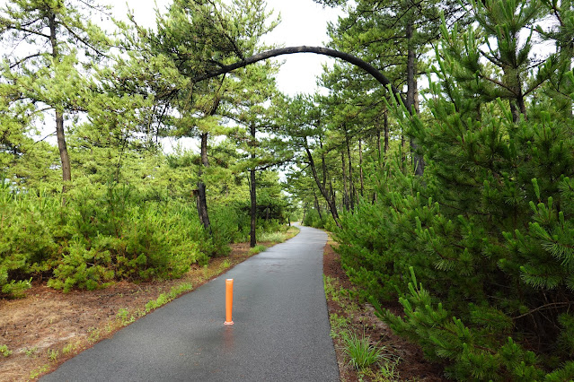 鳥取県米子市両三柳