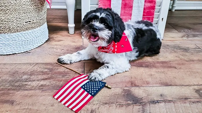 no-sew pet bandanas that fit over the collar