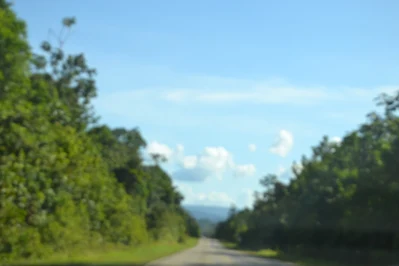" Mountains in Sipaliwini on the road to Atjonie in the amazon rainforest"