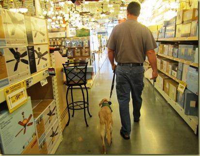 Vienna walking nicely next to Tony at Home Depot.