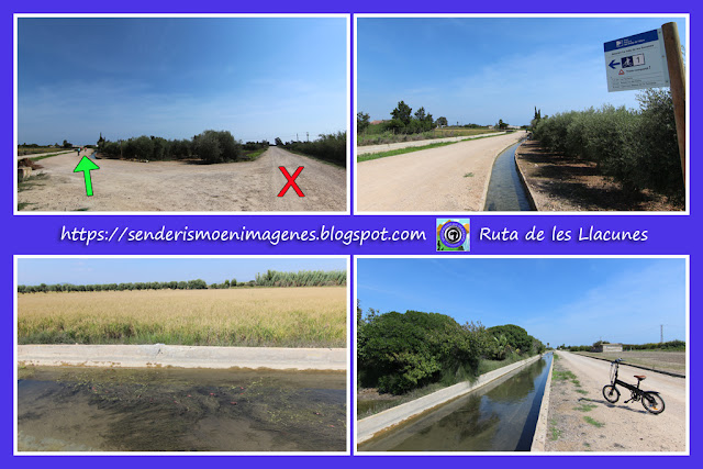 Delta de l'Ebre (Ruta de les Llacunes)