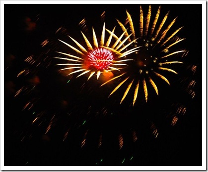 fireworks_abu dhabi national day DSC_2129[8]