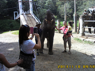 ChiangMai Tour With Local ChiangMai Tour Guide On NOV 10 to 11 , 2013