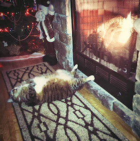 Funny cats - part 84 (40 pics + 10 gifs), fat cat relaxing in front of fireplace