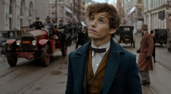 Conteúdo OFB: Newt Scamander | Ordem da Fênix Brasileira