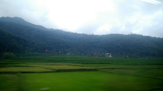 pemandangan dari dalam kereta api