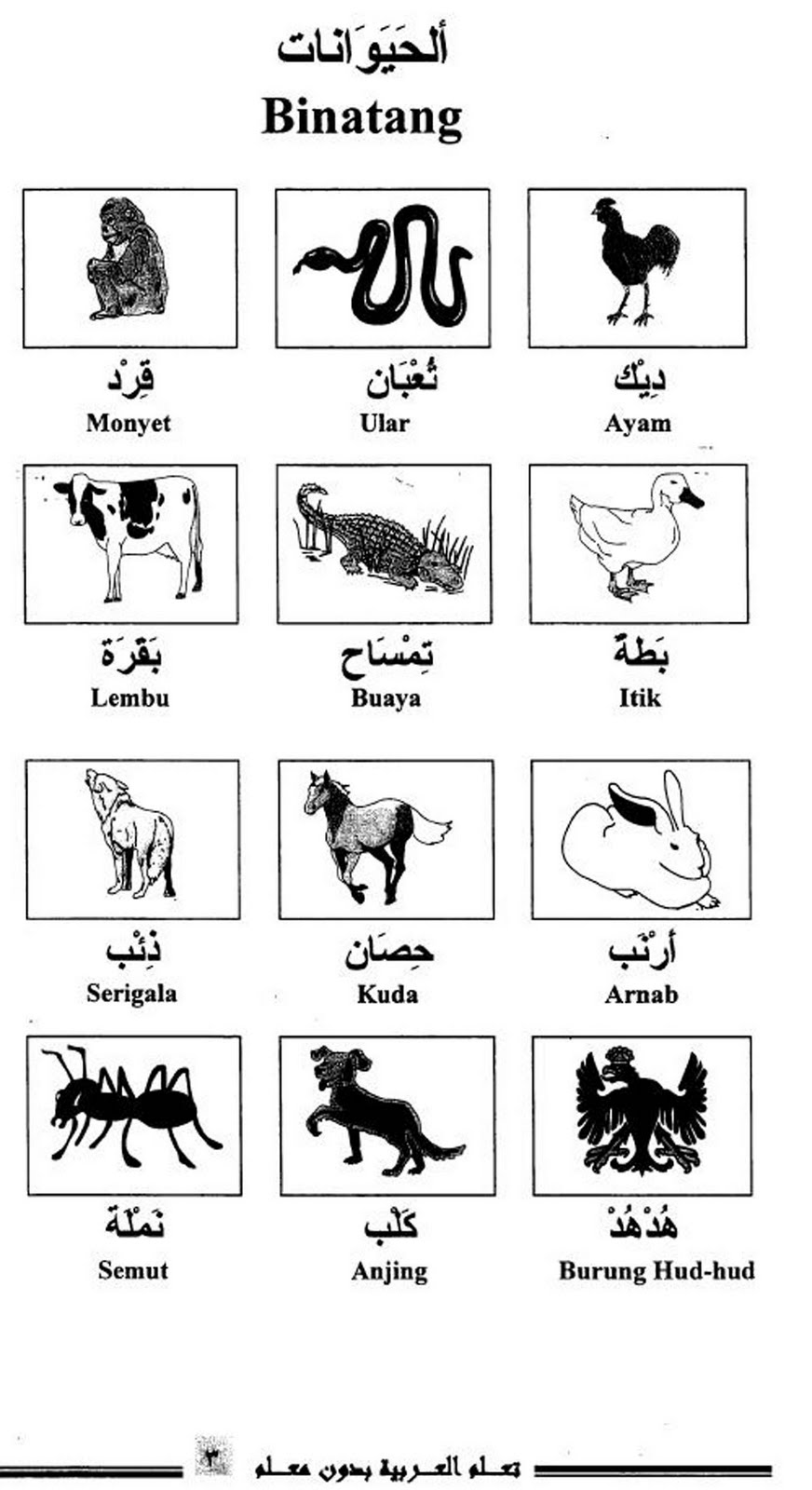 belajar bahasa arab melayu