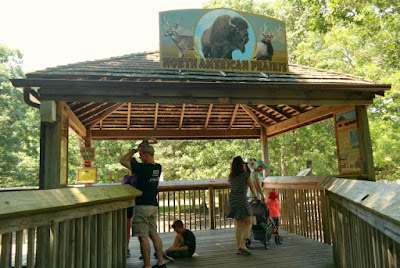 Cape May County Park and Zoo in New Jersey