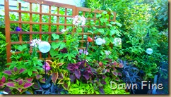garden_004