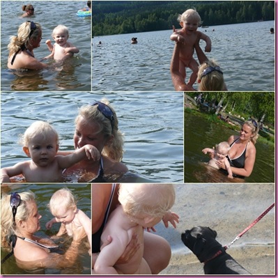 songsvann1