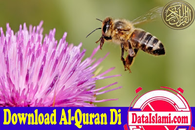 Download Surat An Nahl Mp3 Suara Merdu Terbaik