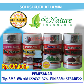 Berapa Harga Obat Kutil Kelamin De Nature Indonesia di Kebumen Kebumen