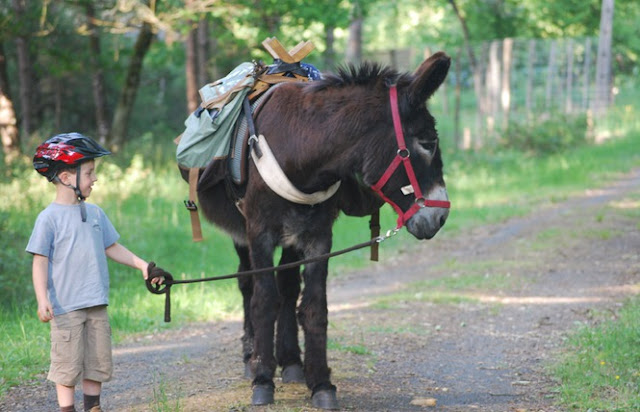 Hiking with donkeys in Loire Valley children kids