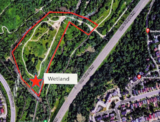 Map of Cottonwood Flats, the wetlands next to the Don River.