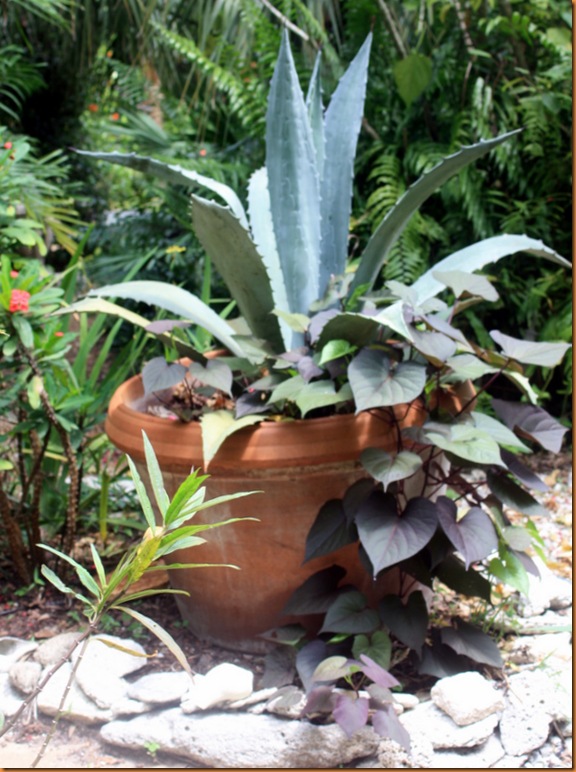 garden 011-1