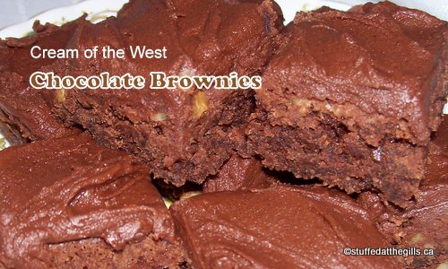 A plate of chocolate frosted brownies.