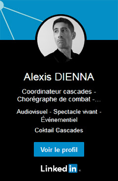Profil du régleur et chorégraphe de cascades Alexis DIENNA sur LinkedIn.