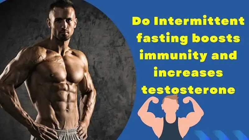 do-intermittent-fasting-boosts-immunity-and-increases-testosterone
