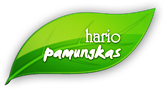 Hario Pamungkas