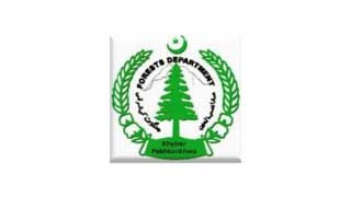 Latest Forest Department KPK Jobs 2023 - Application Forms