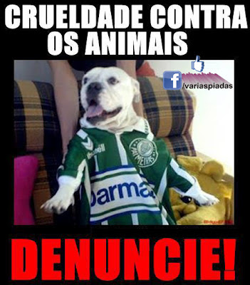 Crueldade contra os animais. Zoando Palmeiras.