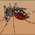 20 August: World Mosquito Day, Significance, Ronald Ross Discovery-Facts in Brief