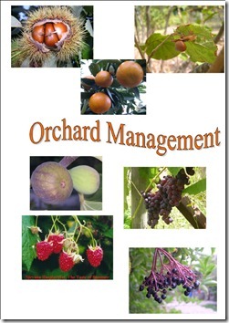 orchard