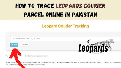 Leopard Courier Online Tracking in Pakistan