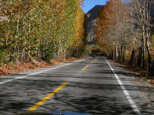 Chaloos Road in Iran