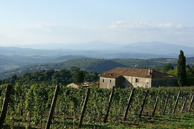 I Vini Montecucco DOC e DOCG tra i protagonisti a Düsseldorf