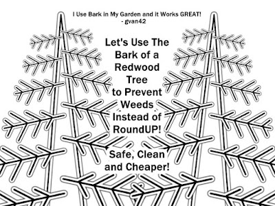 Let's use the Bark of a Redwood Tree to Prevent Weeds instead of RoundUP Free Coloring Book MEME by Gregory Vanderlaan