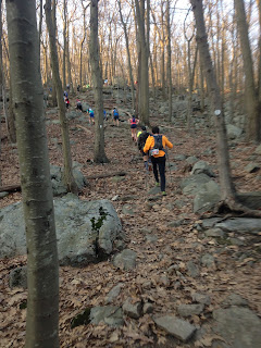 Breakneck Ridge, trail running, ultrarunning, run, trail, marathon, Red Newt Racing, Trail Whippass