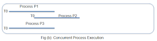 Concurrent process execution