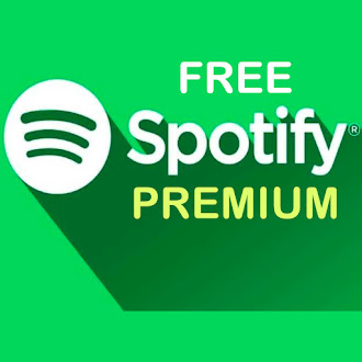 1000 SPOTIFY ACCOUNTS ONLY PREMIUM