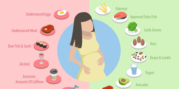 What Foods to Eat and What to Avoid When Pregnant