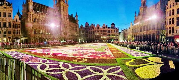 Belgium Makes Enormous Flower 'Carpet' Out of 600,000 Blooms To Celebrate 150 Years of Friendship With Japan