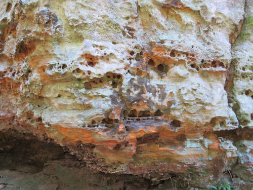 honeycombed rock, Hocking Hills, Ohio