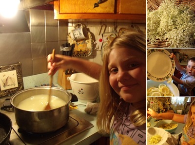 View 2012elderflowercordial