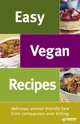 Free Easy Vegan Recipe Booklet