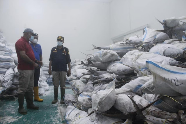 Pemkot Biak Numfor Kirim 1 Kontainer Ikan Tuna dan Black Marlin ke Surabaya .lelemuku.com.jpg