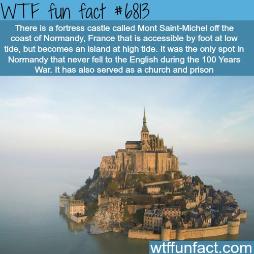 40 Amazing Random WTF Facts