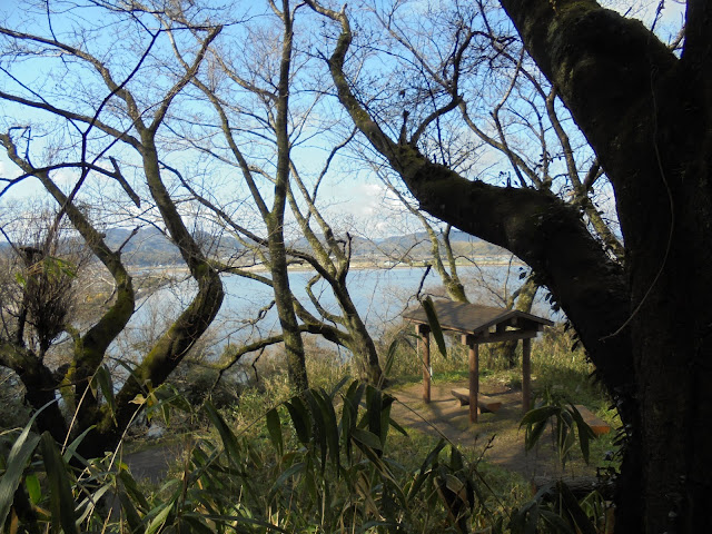 中海展望所