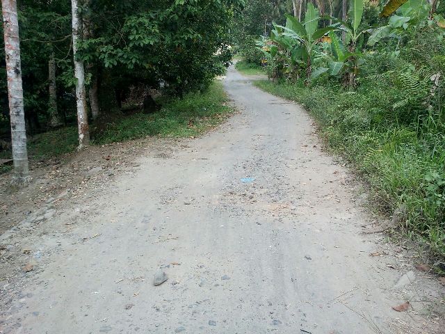 Masyarat Korong Kampung Bukit Kudo-Kudo Kudu Ganting Barat, Minta Jalannya di Aspal Hotmik