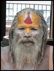 Kathmandu, Pashupatinath, July 2012 (14)