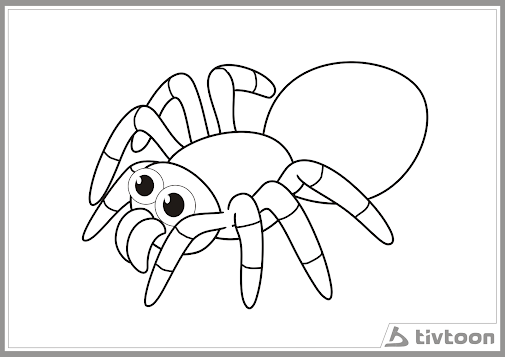 Mewarnai Laba-Laba Tarantula Gambar seekor laba-laba 