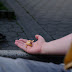 Unlocking The Power of Small Choices: Everyday Sustainability at Home for a Greener Future