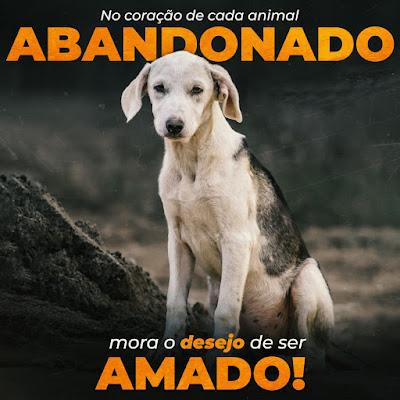 Em primeiro lugar: não abandone!